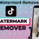 tiktok watermark remover