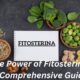 The Power of Fitosterina: A Comprehensive Guide