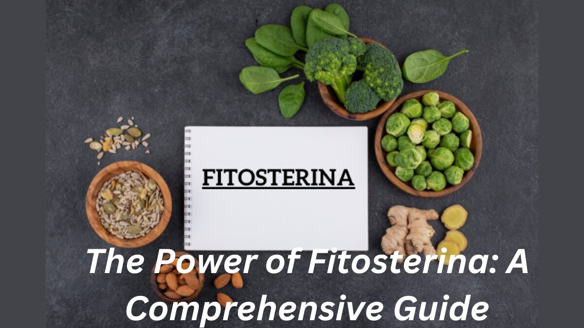 The Power of Fitosterina: A Comprehensive Guide