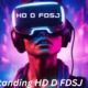 Understanding HD D FDSJ