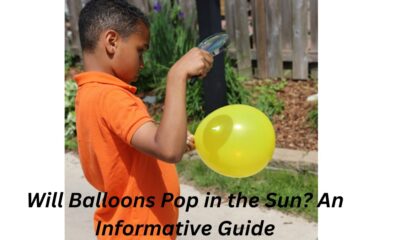 Will Balloons Pop in the Sun? An Informative Guide