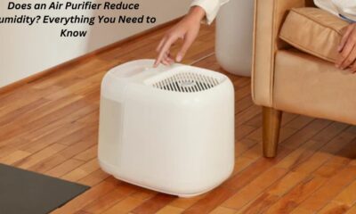 Does an Air Purifier Reduce Humidity? Everything You Need to Know