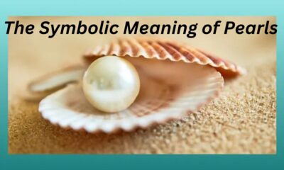 The Symbolic Meaning of Pearls