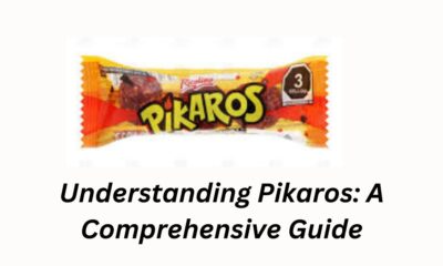 Understanding Pikaros: A Comprehensive Guide