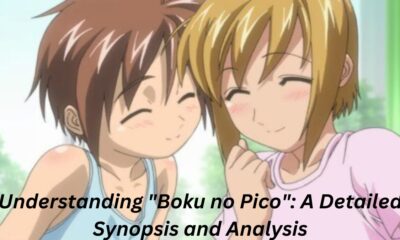 Understanding "Boku no Pico": A Detailed Synopsis and Analysis